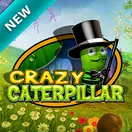 Crazy Caterpillar