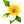 Novo